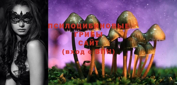 герыч Сосновка