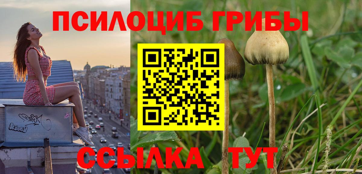 Псилоцибиновые грибы ЛСД  Вход с VPN  Псилоцибиновые грибы GOLDEN TEACHER  Находка 