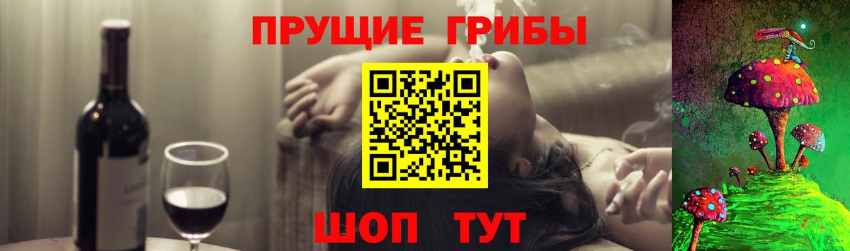 Псилоцибиновые грибы Cubensis Находка